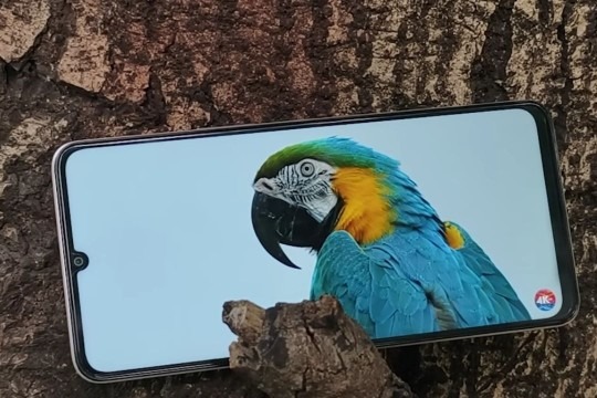 Vivo T4 Lite 5G Display